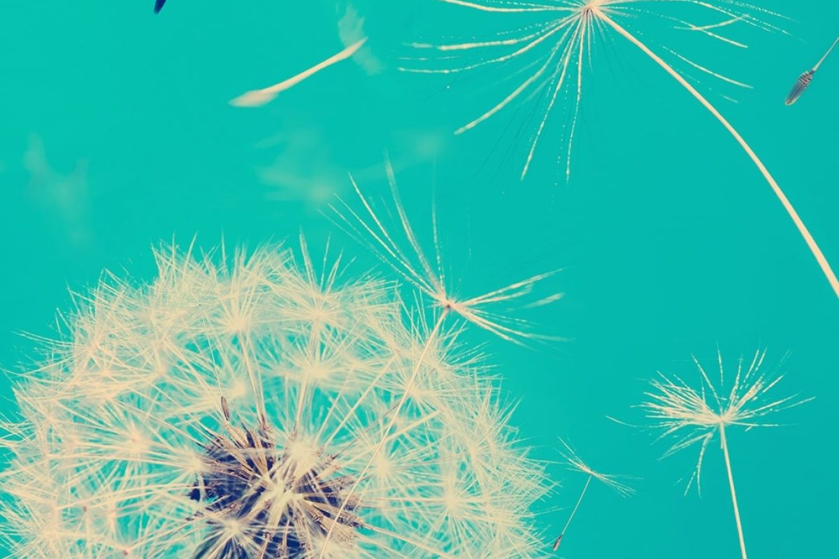 magali mathe blog mettre de la rondeur dans nos existences