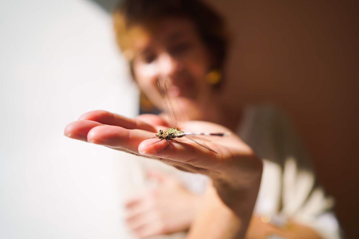 magali mathe blog la fascination