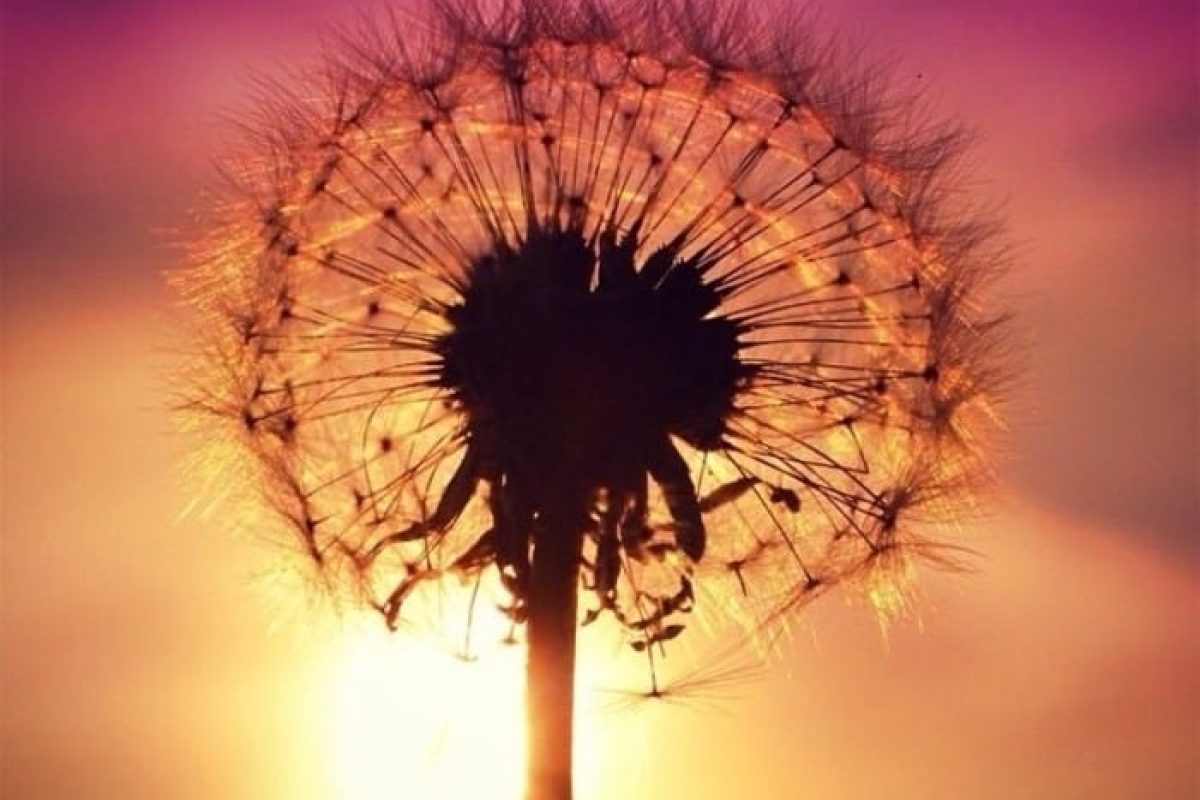 magali mathe blog l'émerveillement