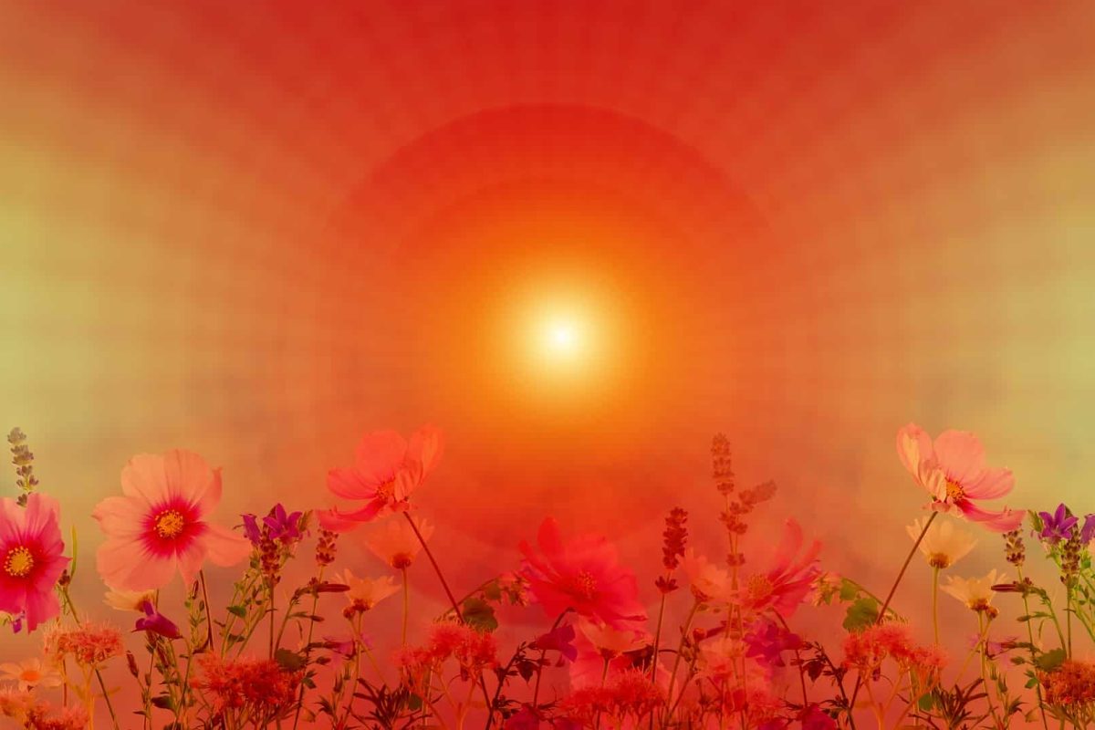 INDIVIDUEL_SOLEIL