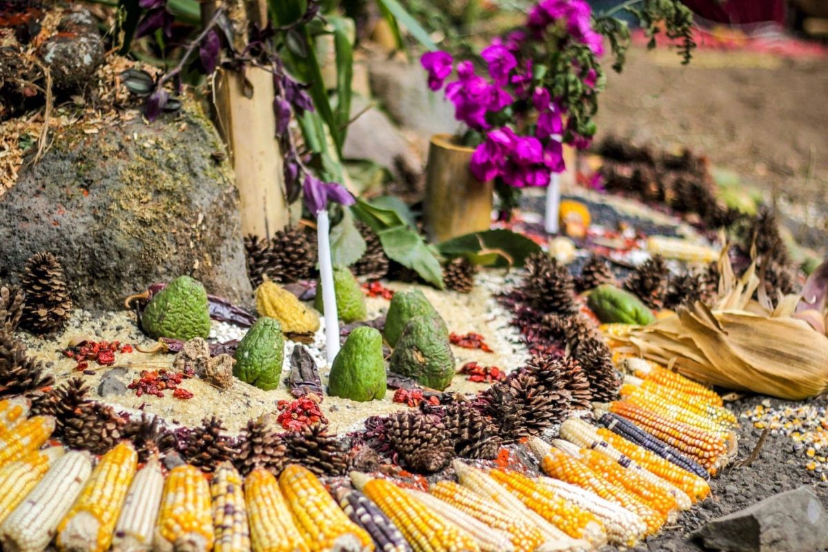 magali mathe blog la mane