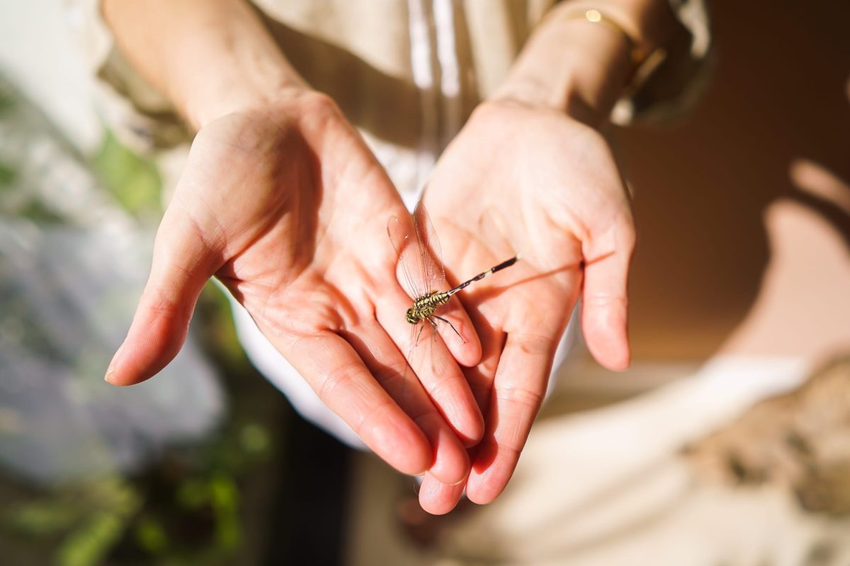 magali mathe blog la blessure