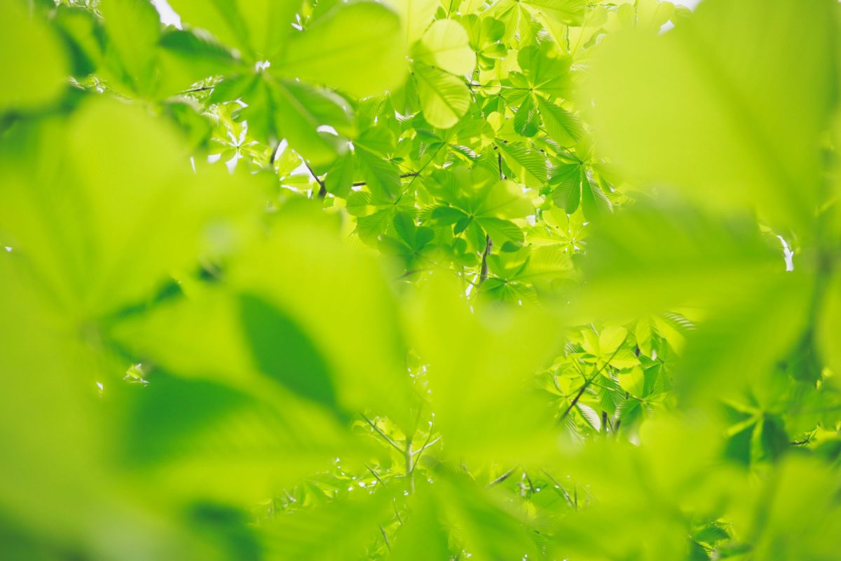 magali mathe blog aux âmes primesautières