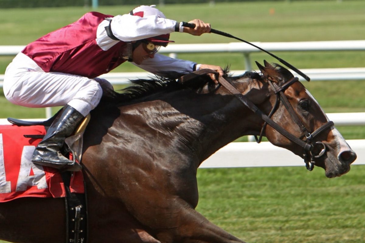 magali mathe blog la cravache